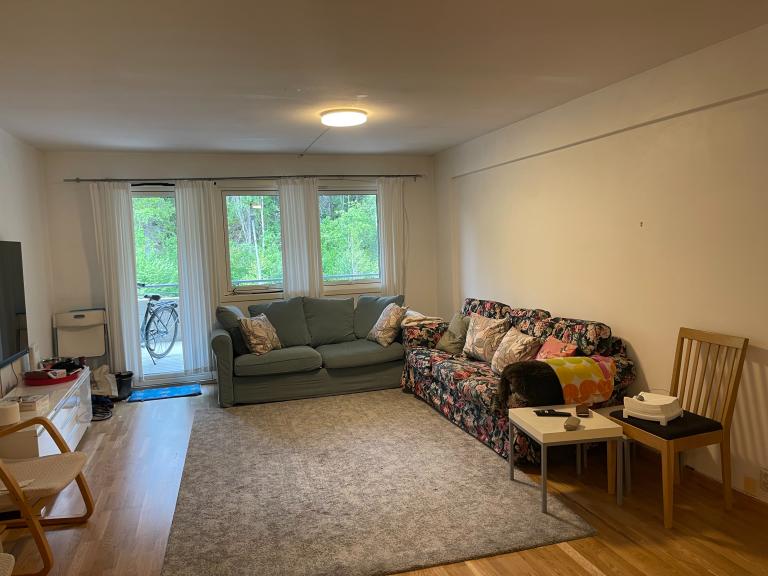 1255 Oslo Holmlia Senter Vei 29